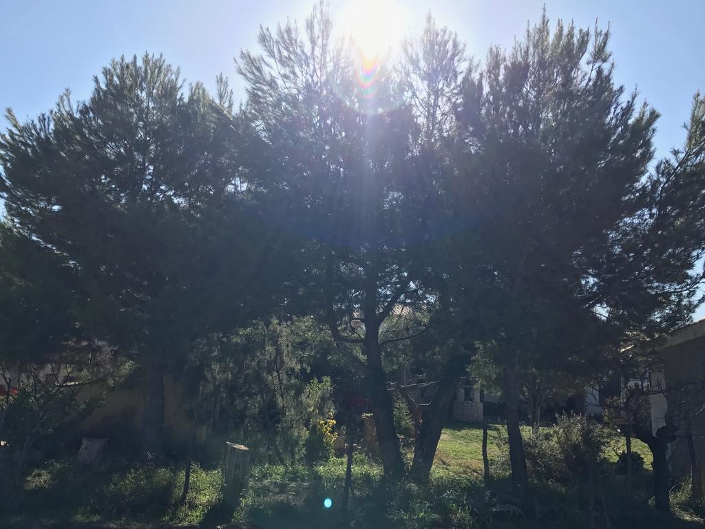 Casa Rural La Granja Letur Zewnętrze zdjęcie